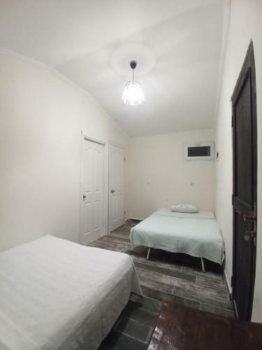 Bed & Breakfast Daidala Life