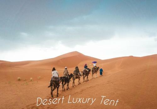 Hotel Desert Luxury Tent