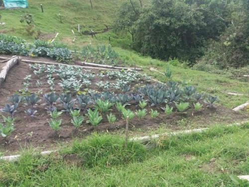 Agroturismo Finca El Sestillal