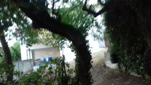 Agroturismo Camping Agriturist Sant'anna