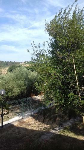 Agroturismo Camping Agriturist Sant'anna