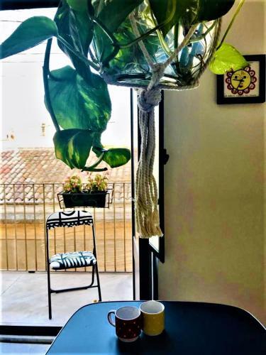 Apartamento Jesus 3