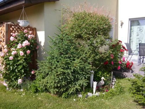 Hostal Villa Honoratka