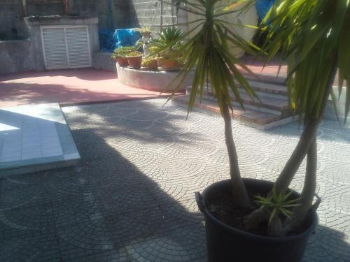 Apartamento Appartamento Napoleone