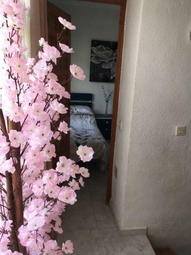 Casa Phoenix Bed & Breakfast