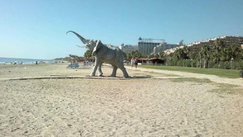 Apartamento 1� L�nea De Playa