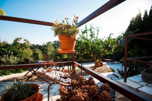 Bed & Breakfast Casa O Nascer Do Sol