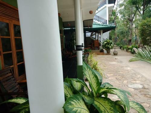 Hostal Nature House