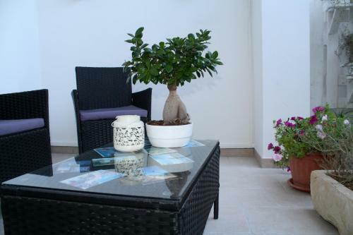 B&B Cafe' Fausu