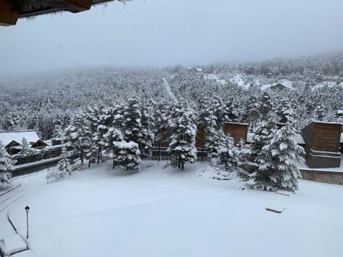 Acogedor Apartamento En La Molina