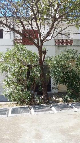 15 C/muga-a Empuriabrava