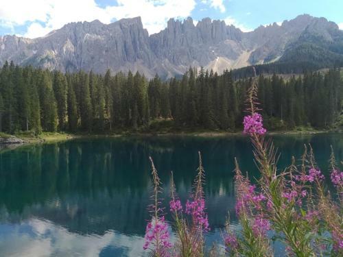 Apartamento Antico Maso