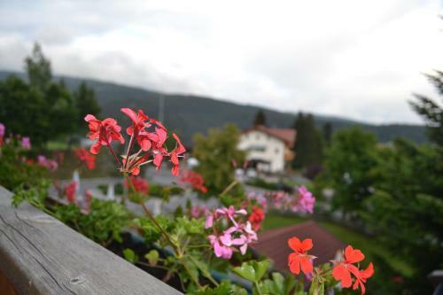 Hotel Gasthof Zum Gr�nen Baum