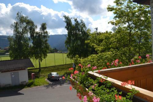 Hotel Gasthof Zum Gr�nen Baum