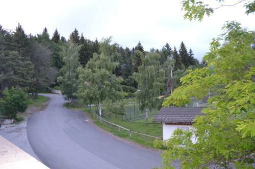 Hotel Gasthof Zum Gr�nen Baum
