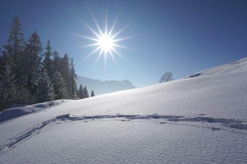 Hotel Gasthof Zum Gr�nen Baum