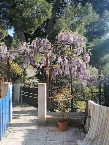 Apartamento Verdon Gran Vala 2 Les Pieds Dans L'eau
