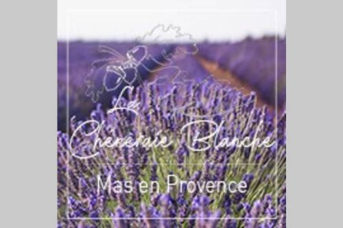 G�te En Luberon Mas de La Ch�neraie Blanche Roussillon 84