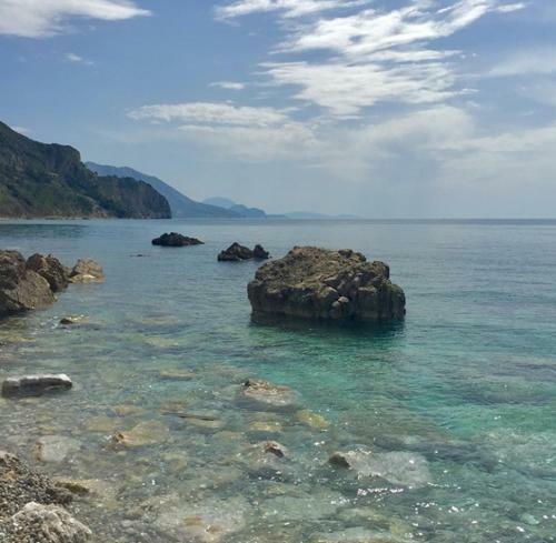 Apartmani Budva - Jaz