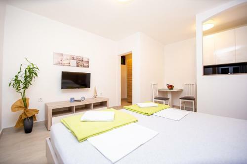 Apartment Novak