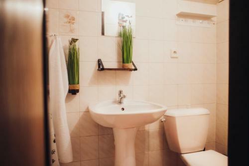 Wellness Chata Marcelka - Rokytnice Nad Jizerou, Krkono?e