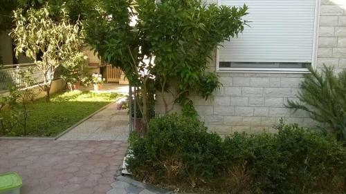 Apartman Renata
