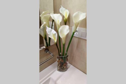 Apartamento Apto Patio Andaluz. M�ximo Confort Y Limpieza