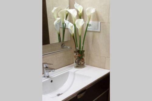 Apartamento Apto Patio Andaluz. M�ximo Confort Y Limpieza