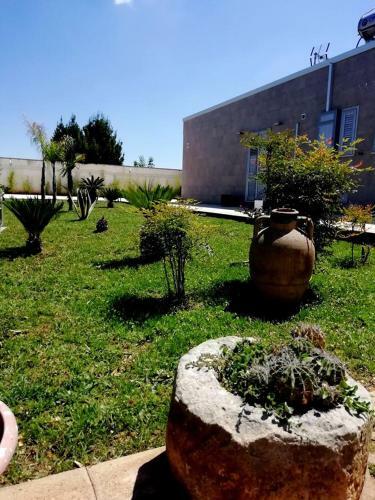 B&B Italia