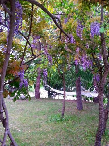 Agroturismo Ai Limiti ? 67 ? Stonehouse
