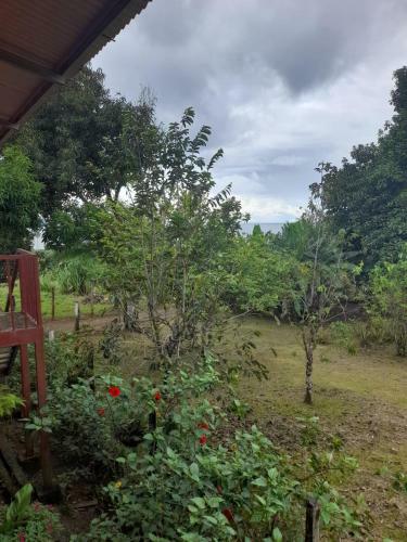 Hostal & Cabins Lidia's House, Forest And Ocean View