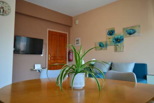 Roula's Apartment 2