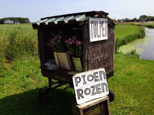 Bungalowpark Boerenslag 28 In Strandn�he
