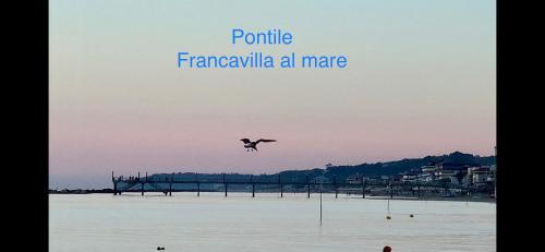 B&B Falcone