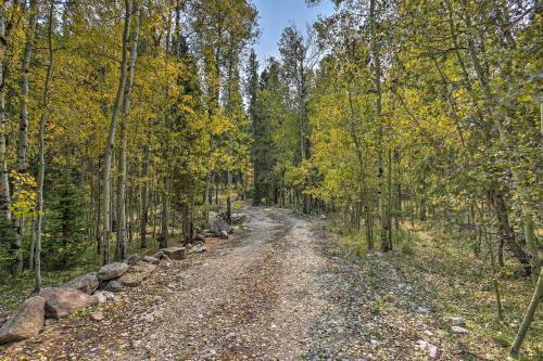 Secluded Casper Mountain Cabin, 12 Mi To Town