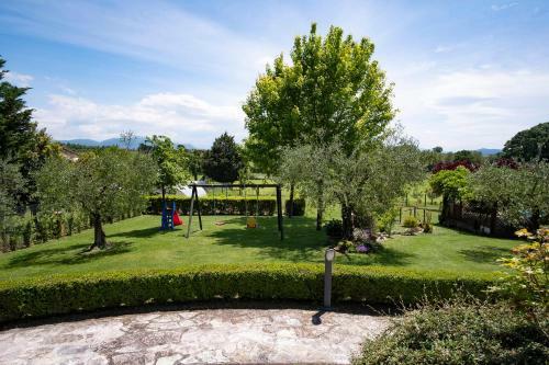 B&B Pino Cedro