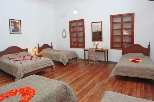 Albergue Macondo B&B