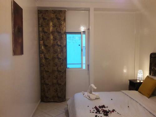 Apartamento Ibis Appartement
