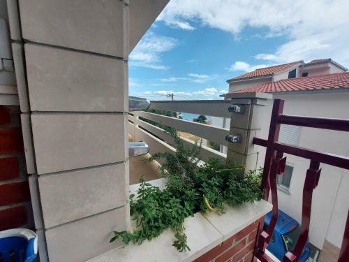 Apartments Petar Btw. Split And Omi?