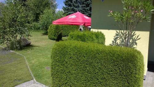 Apartamento Privat No 13