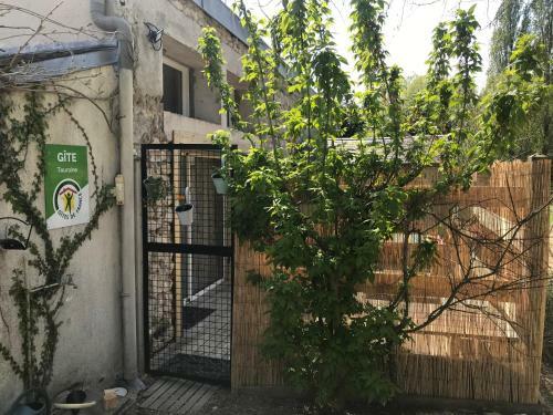 Bed & Breakfast La Marelle