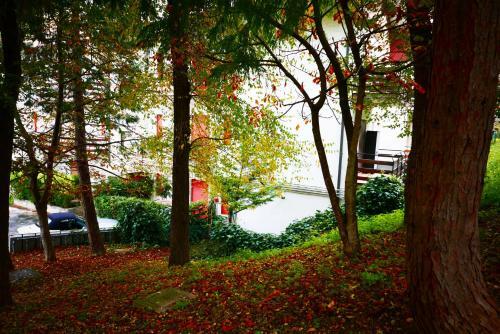 Apartamento A Un Passo Dal Tuo Relax