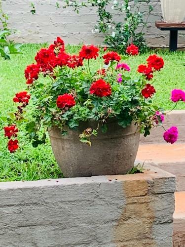 Hostal Douglas Villas