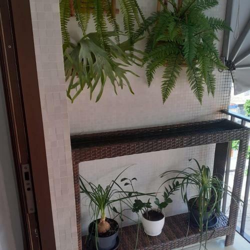 Apartamento Aconchegante