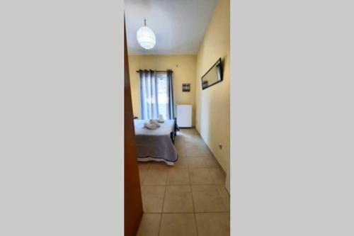 Bloom Garden Apartment
