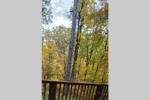 Peaceful Wooded Getaway - Near Mille Lacs