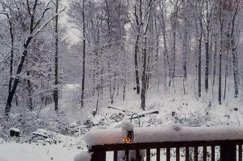 Peaceful Wooded Getaway - Near Mille Lacs