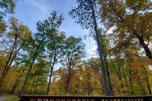 Peaceful Wooded Getaway - Near Mille Lacs