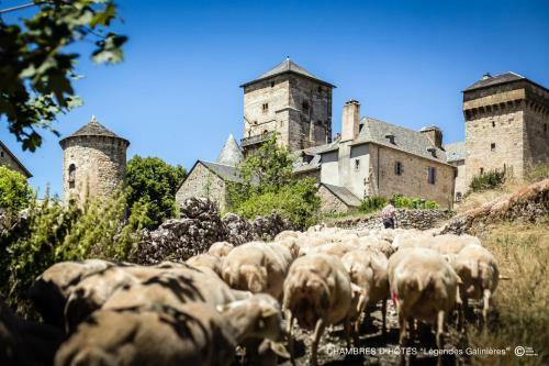 Bed & Breakfast Chambres D'h�tes "l�gendes Galini�res"