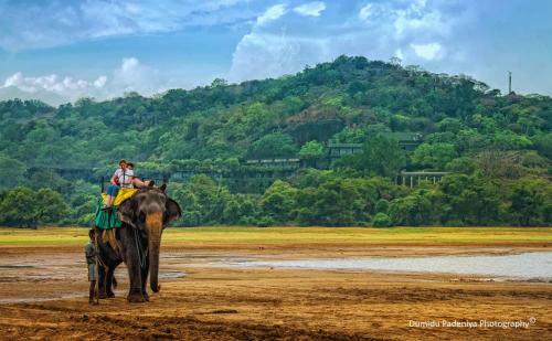 Hostal Simoya Nature Park